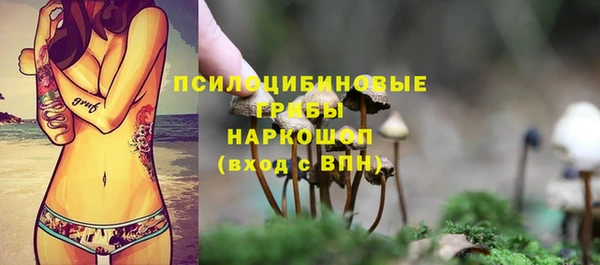 меф Мегион