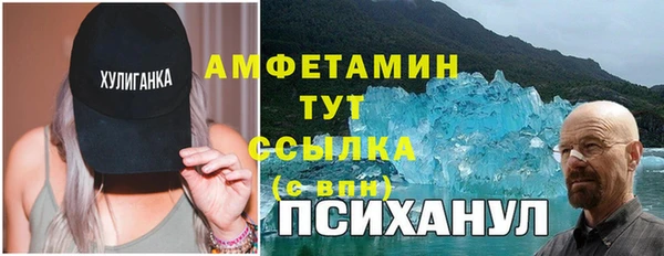 трава Медвежьегорск